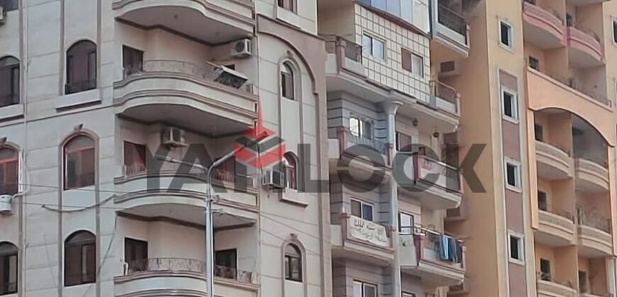 شقة 119 م² للايجار الشهري في الشرقية طريق القنايات