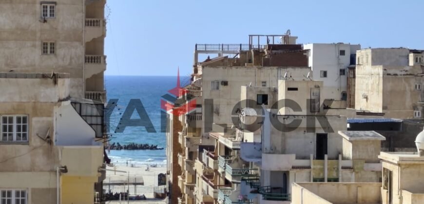 شقة 270 م² للبيع في  الاسكندرية النخيل 6 اكتوبر