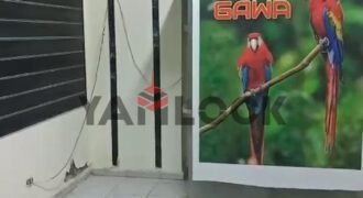 تجاري 20 م² للبيع في شارع المرسلين الامريكاني جناكليس الاسكندرية تجاري 20 م² للبيع في شارع المرسلين الامريكاني جناكليس الاسكندرية