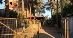 أرض 12 قيراط للايجار علي الطريق السريع قبل مدخل طنطا أرض 12 قيراط للايجار علي الطريق السريع قبل مدخل طنطا