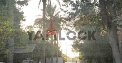 أرض 12 قيراط للايجار علي الطريق السريع قبل مدخل طنطا أرض 12 قيراط للايجار علي الطريق السريع قبل مدخل طنطا