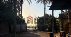 أرض 12 قيراط للايجار علي الطريق السريع قبل مدخل طنطا أرض 12 قيراط للايجار علي الطريق السريع قبل مدخل طنطا