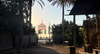 أرض 12 قيراط للايجار علي الطريق السريع قبل مدخل طنطا أرض 12 قيراط للايجار علي الطريق السريع قبل مدخل طنطا