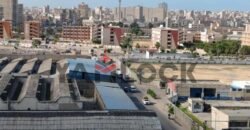 شقة 135 م² للبيع في أبراج سما السيوف -الاسكندرية شقة 135 م² للبيع في أبراج سما السيوف -الاسكندرية