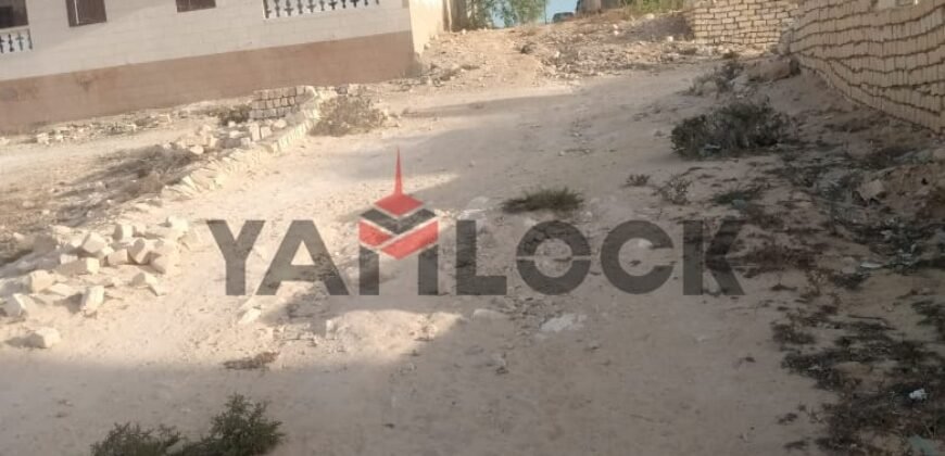 أرض 1000 م² للبيع في علم الروم بحري جامع النور مرسي مطروح