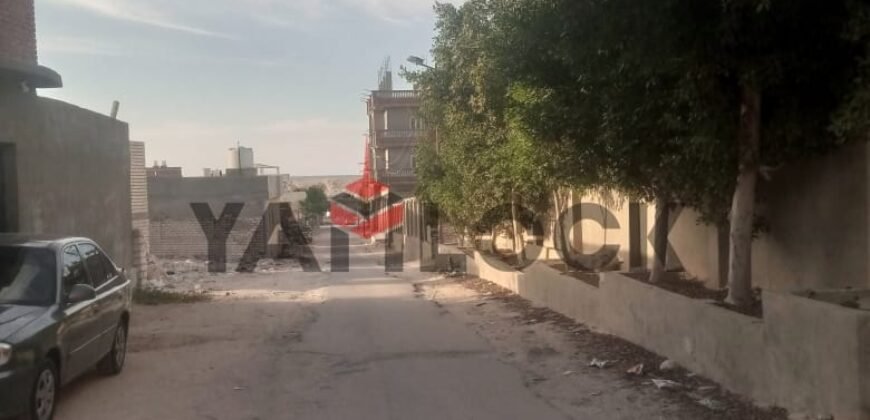 أرض 1000 م² للبيع في علم الروم بحري جامع النور مرسي مطروح