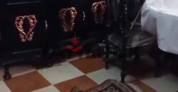 شقة 100 م² للايجار الشهري في الاسكندرية العجمى اخر شارع خيرالله شقة 100 م² للايجار الشهري في الاسكندرية العجمى اخر شارع خيرالله