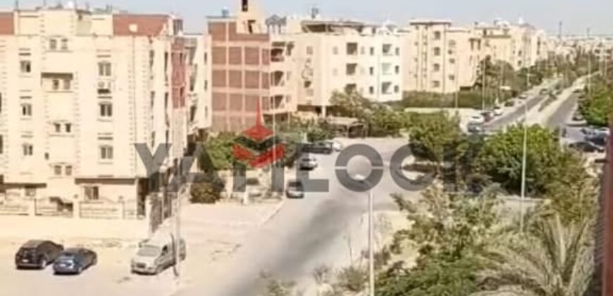 ستوديو 50 م² للايجار مفروشة في شارع ابو موسى الاشعري- التجمع الاول