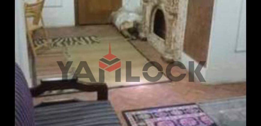 شقة 90 م²  للايجار مفروشة في شارع كرم عبد الهادى – منيل الروضة