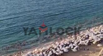 شقة 150 م² للايجار الشهري او اليومي في الاسكندرية المندره بحر فوق كافيه قصر المندره شقة 150 م² للايجار الشهري او اليومي في الاسكندرية المندره بحر فوق كافيه قصر المندره