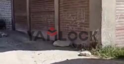 مبنى سكني 230 م² للبيع في سيلفر بيتش بعد ابو تلات – الاسكندرية