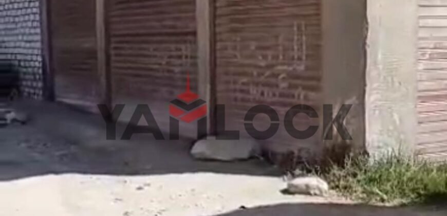 مبنى سكني 230 م² للبيع في سيلفر بيتش بعد ابو تلات – الاسكندرية