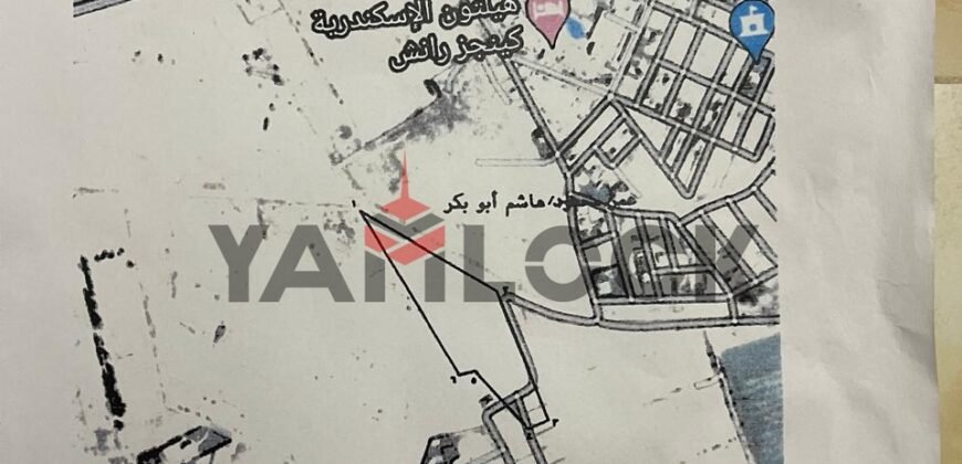 أرض 40000 م² للبيع بجوار الهيلتون كينج رانش فى الكينج مريوط